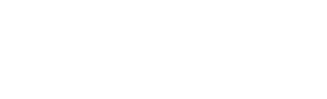 Liu Jo